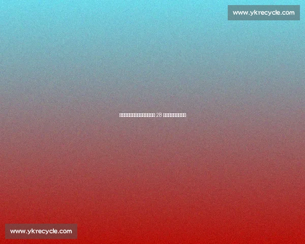 日本拳击史上最黑暗赛事：两名 28 岁拳手同场重伤离世