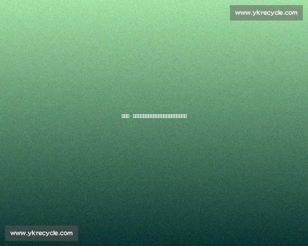 若纳坦 - 塔:对决巴西劲旅,传承小罗足球梦的欧冠之夜 若纳坦 - 塔:对决巴西劲旅,传承小罗足球梦的欧冠之夜